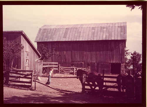 Click to enlarge