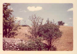 Click to enlarge